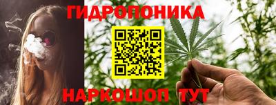прущие грибы Кандалакша
