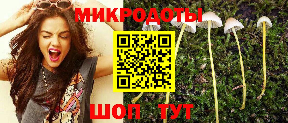 Псилоцибиновые грибы Psilocybe Миллерово