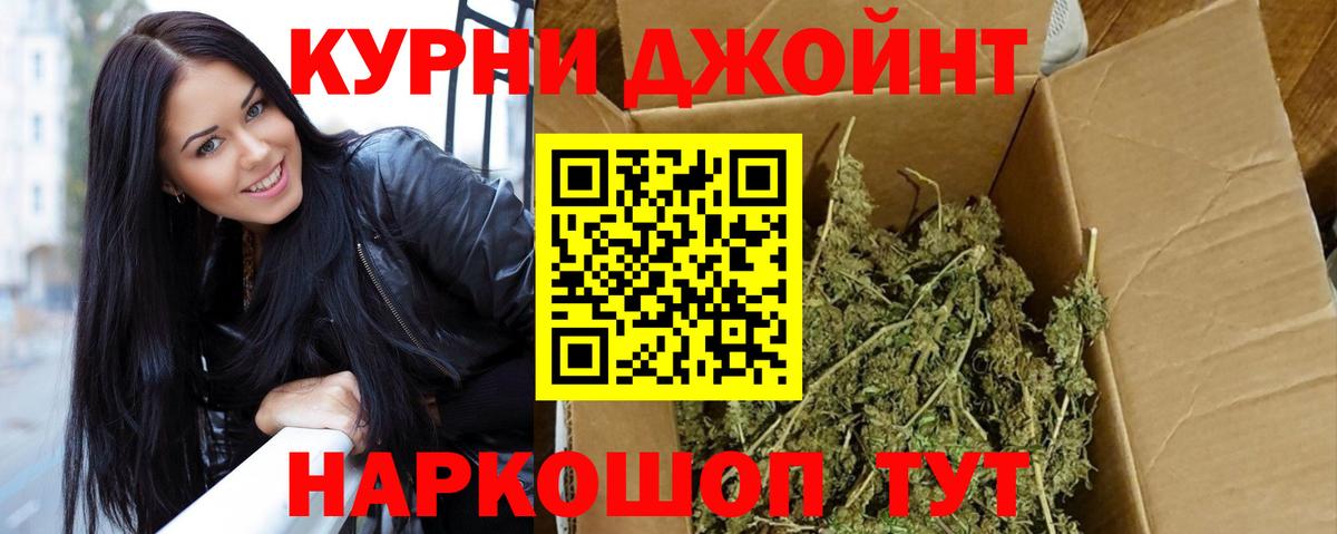 Каннабис сатива Миллерово